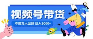 视频号带货，日入3000+，不用真人出镜-享创网