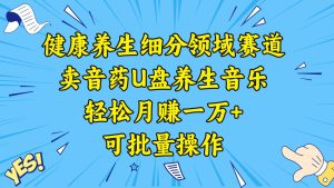 健康养生细分领域赛道，卖音药U盘养生音乐，轻松月赚一万+，可批量操作-享创网