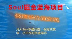 Soul掘金蓝海项目细分赛道，做情感价值变现，月入2w+不是问题-享创网
