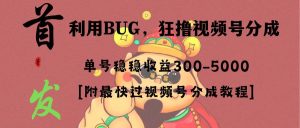 全网独家首发，视频号BUG，超短期项目，单号每日净收益300-5000！-享创网