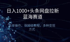 日入1000+头条网盘拉新蓝海赛道，简单操作，保姆级教程，多种变现方式-享创网
