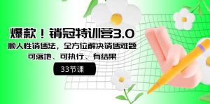 爆款!销冠特训营3.0之顺人性销售法,全方位解决销售难题、可落地、可执行、有结果-享创网