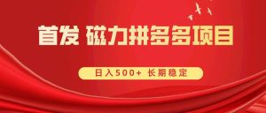 首发 磁力拼多多自撸  日入500+-享创网