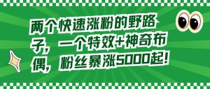 两个快速涨粉的野路子，一个特效+神奇布偶，粉丝暴涨5000起！-享创网