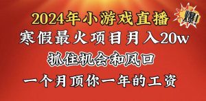 2024年寒假爆火项目，小游戏直播月入20w+，学会了之后你将翻身-享创网