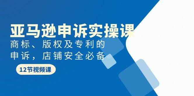 亚马逊-申诉实战课，商标、版权及专利的申诉，店铺安全必备-享创网