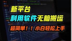 新平台用软件无脑搬运，月赚10000+，小白也能轻松上手-享创网