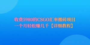 CSGO装备搬砖，月综合收益率高达60%，你也可以！-享创网