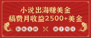 小说出海赚美金,稿费月收益2500+美金,仅需chatgpt粘贴复制,新手也能玩转-享创网