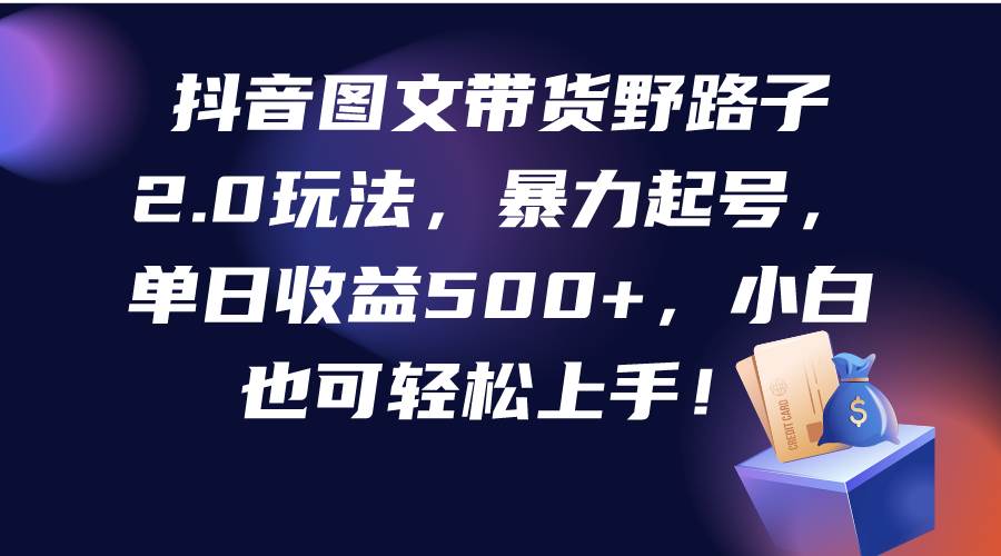 抖音图文带货野路子2.0玩法，暴力起号，单日收益500+，小白也可轻松上手！-享创网