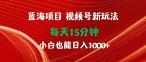 蓝海项目视频号新玩法 每天15分钟 小白也能日入1000+-享创网