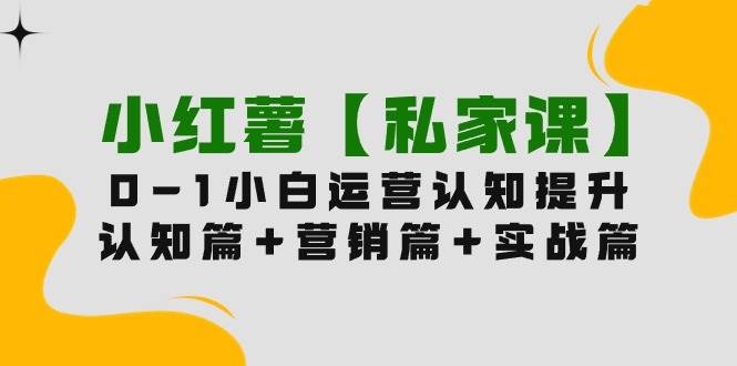 小红薯【私家课】0-1玩赚小红书内容营销，认知篇+营销篇+实战篇（11节课）-享创网