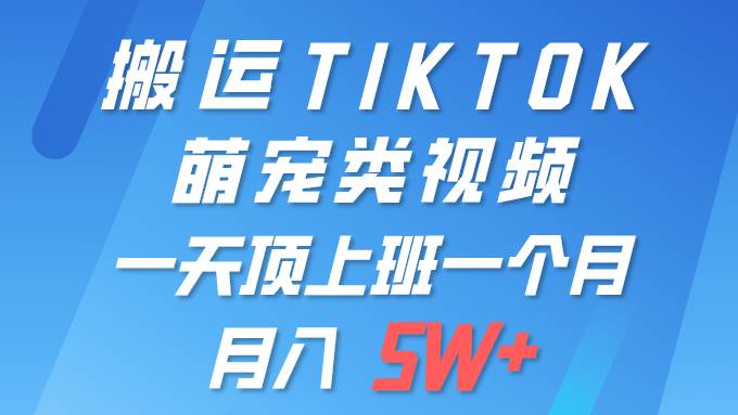 一键搬运TIKTOK萌宠类视频 一部手机即可操作 所有平台均可发布 轻松月入5W+-享创网