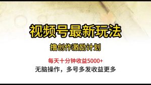 视频号最新玩法,每日一小时月入5000+-享创网