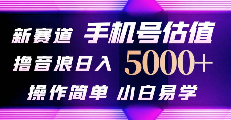 抖音不出境直播【手机号估值】最新撸音浪，日入5000+，简单易学，适合…-享创网