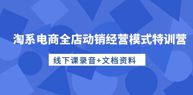 淘系电商全店动销经营模式特训营，线下课录音+文档资料-享创网