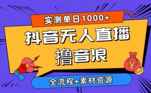 2024抖音无人直播撸音浪新玩法 日入1000+ 全流程+素材资源-享创网