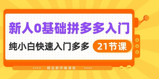 新人0基础拼多多入门，纯小白快速入门多多（21节课）-享创网