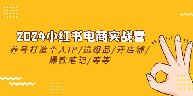 2024小红书电商实战营，养号打造IP/选爆品/开店铺/爆款笔记/等等（24节）-享创网