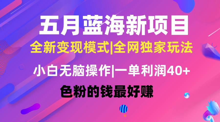 五月蓝海项目全新玩法，小白无脑操作，一天几分钟，矩阵操作，月入4万+-享创网
