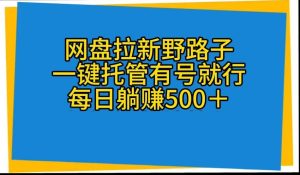 网盘拉新野路子,一键托管有号就行,全自动代发视频,每日躺赚500+-享创网