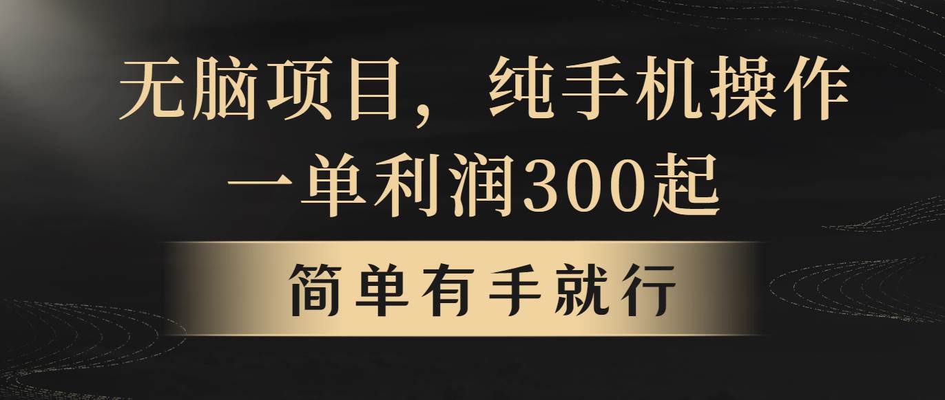 无脑项目，一单几百块，轻松月入5w+，看完就能直接操作-享创网