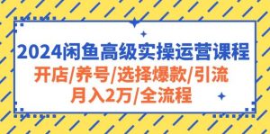 2024闲鱼高级实操运营课程：开店/养号/选择爆款/引流/月入2万/全流程-享创网