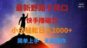 最新风口！快手撸磁力，野路子，小白无脑操作日入2000+-享创网