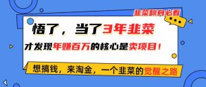 悟了,当了3年韭菜,才发现网赚圈年赚100万的核心是卖项目,含泪分享!-享创网