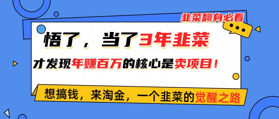 悟了，当了3年韭菜，才发现网赚圈年赚100万的核心是卖项目，含泪分享！-享创网