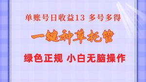 一键种草托管 单账号日收益13元 10个账号一天130 绿色稳定 可无限推广-享创网