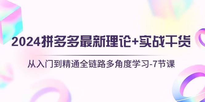 2024拼多多 最新理论+实战干货，从入门到精通全链路多角度学习-7节课-享创网