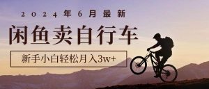 2024年6月最新闲鱼卖自行车,新手小白轻松月入3w+项目-享创网