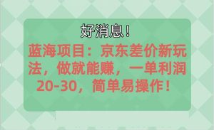 越早知道越能赚到钱的蓝海项目：京东大平台操作，一单利润20-30，简单…-享创网