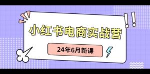 小红书电商实战营:小红书笔记带货和无人直播,24年6月新课-享创网