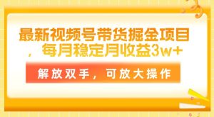 最新视频号带货掘金项目,每月稳定月收益3w+,解放双手,可放大操作-享创网