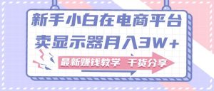 新手小白如何做到在电商平台卖显示器月入3W+,最新赚钱教学干货分享-享创网