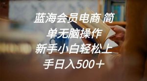 蓝海会员电商 简单无脑操作 新手小白轻松上手日入500＋-享创网