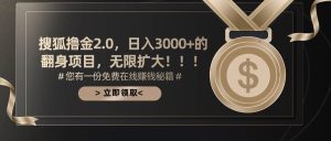搜狐撸金2.0日入3000+,可无限扩大的翻身项目-享创网