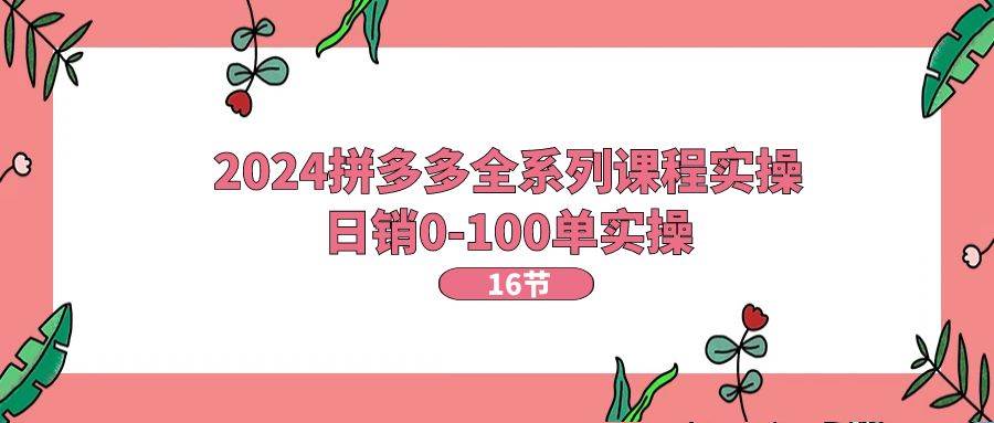 2024拼多多全系列课程实操，日销0-100单实操【16节课】-享创网