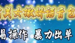 车载美女撒娇语音包,执行就出单,月入3000+,小白看完课程就能马上实操-享创网