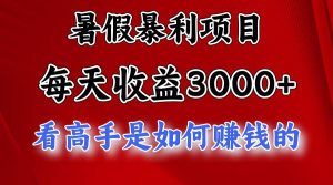 暑假暴利项目,每天收益3000+ 努努力能达到5000+,暑假大流量来了-享创网