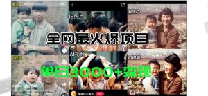 全网爆火的AI让老照片动起来教程,蹭热点日赚3000+,内含免费工具一键…-享创网