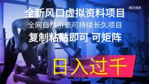全新风口虚拟资料项目 全网自然引流可持续长久项目 复制粘贴即可可矩阵…-享创网