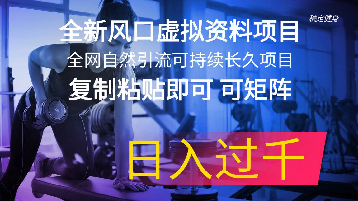 全新风口虚拟资料项目 全网自然引流可持续长久项目 复制粘贴即可可矩阵…-享创网