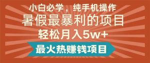 小白必学，纯手机操作，暑假最暴利的项目轻松月入5w+最火热赚钱项目-享创网