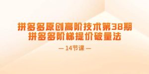 拼多多原创高阶技术第38期，拼多多阶梯提价破量法（14节课）-享创网