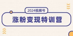 2024视频号-涨粉变现特训营：一站式打造稳定视频号涨粉变现模式（10节）-享创网