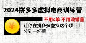 2024拼多多虚拟电商训练营 不s单 不改销量  做虚拟项目分一杯羹(更新10节)-享创网