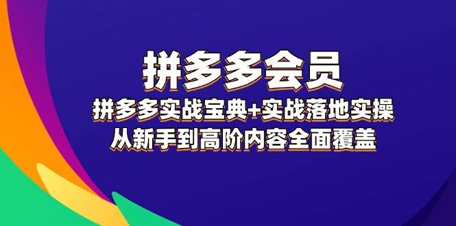 拼多多 会员，拼多多实战宝典+实战落地实操，从新手到高阶内容全面覆盖-享创网